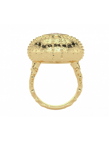 “Miracle of Salacia” by... 2